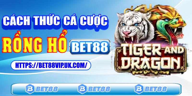 Luật chơi và cách thức cá cược trong rồng hổ