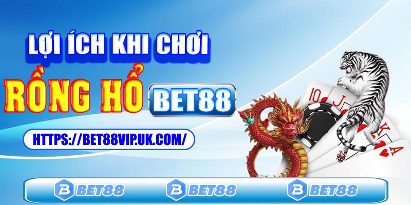 Những lợi ích khi chơi rồng rồng hổ